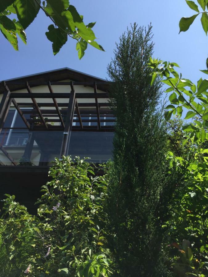 Apartamento Pergola House In A Green Oasis With Fantastic View Petrovaradin Exterior foto